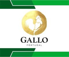 GALLO